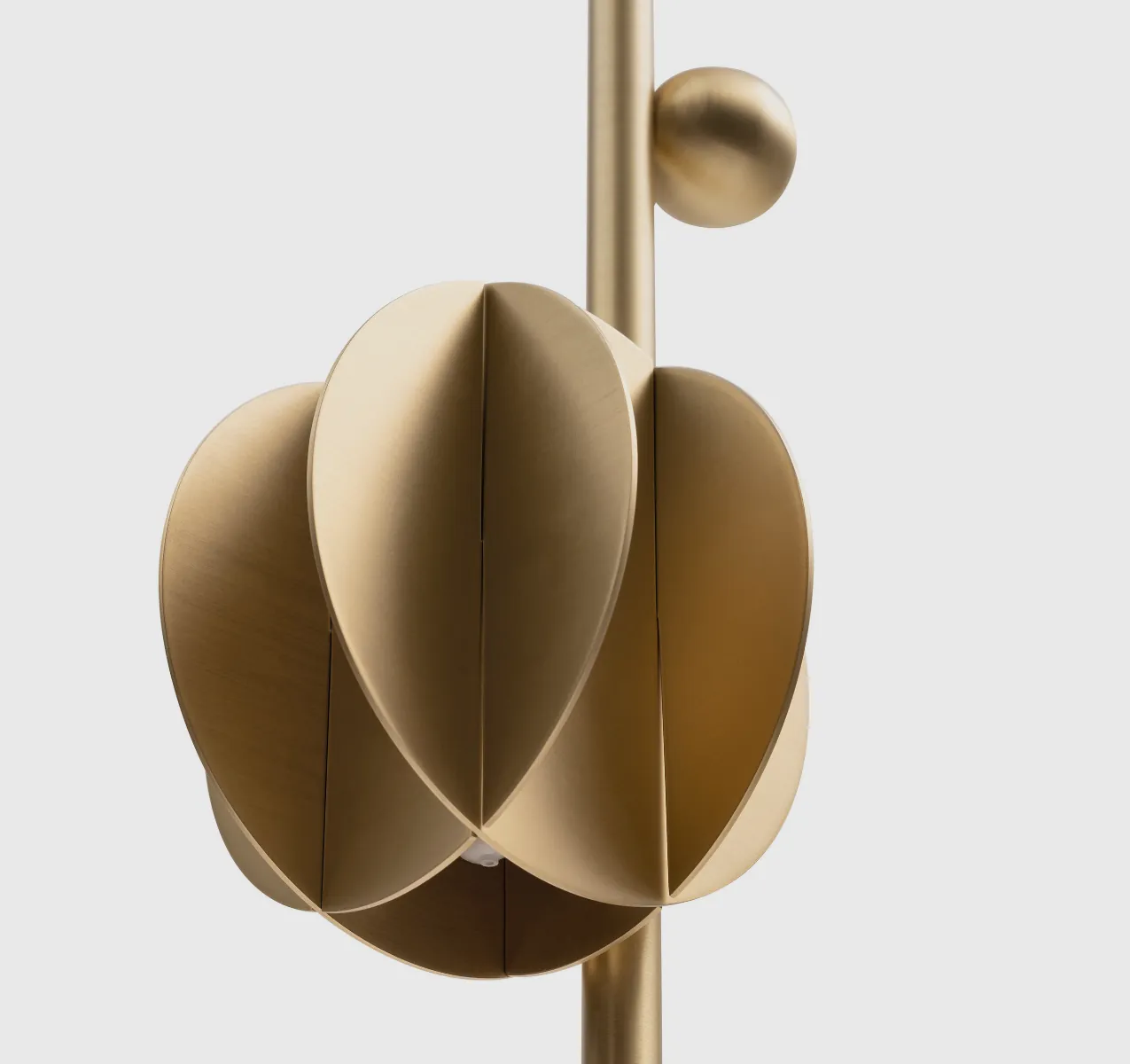 Scelerisque Fermentum